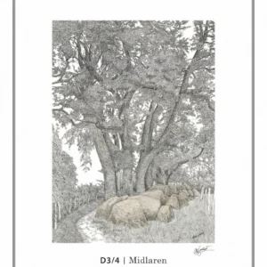 Ingelijste hunebedschildering D3/4 | Midlaren